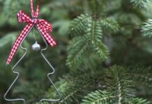 Чи буде встановлюватися у Павлограді ялинка?