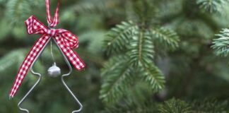 Чи буде встановлюватися у Павлограді ялинка?