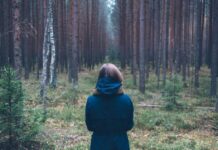 На Павлоградщині жінка заблукала у лісі