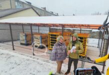 Павлоградська лікарня здатна повністю працювати на генераторах