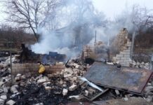 «Я можу. І я хочу.»: зооволонтерка з Павлограда готова відновлювати «Котоготель»