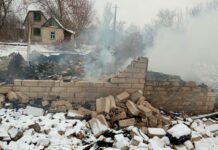 «13 хвостів більше немає… Вибачте мені»: у павлоградської зооволонтерки згоріла дача