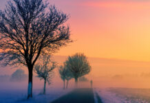 Потеплішає чи ні? Якою буде погода у Павлограді на цьому тижні