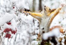 Якою буде погода в Павлограді на цьому тижні?