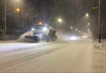 Павлоградців просять прибирати біля своїх об’єктів