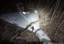 Майже цілий «шахед» знайшли на пустирі