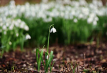 Якою буде погода в Павлограді на цьому тижні?