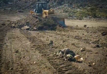 Полігон відходів поблизу Павлограда потребує постійної рекультивації