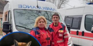 Дніпропетровщину атакують агресивні лисиці