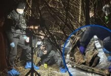 Чотири місяці планував замах: поліція розшукала убивцю заммера Нікополя