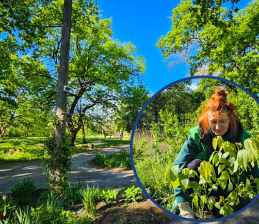 Оазис на районі: чому у Павлограді вдається відновлювати парк