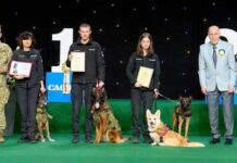 Пошукові собаки з Павлограда отримали відзнаки