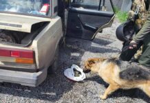 На Дніпропетровщині зупинили автівку з боєприпасами