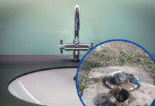 У водоканалі розповіли про причини аварій на каналізації