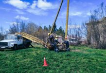 У с. Булахівка лелеки ледь не залишились без гнізда (ВІДЕО)