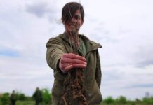 Лісівники Павлоградщини висадили дерева на честь військових