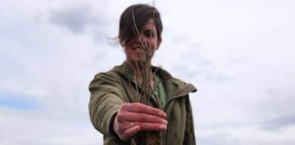 Лісівники Павлоградщини висадили дерева на честь військових