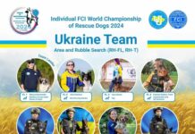 Павлоградські кінологи візьмуть участь у Чемпіонаті світу рятувальних собак