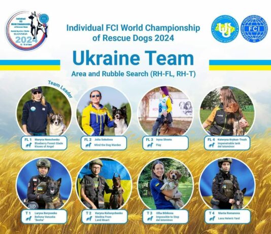 Павлоградські кінологи візьмуть участь у Чемпіонаті світу рятувальних собак