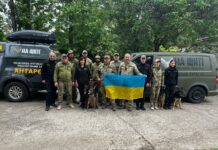 Кінологи з Павлограда взяли участь у пошуковій місії на Херсонщині