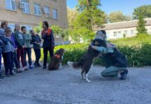 Для павлоградських дітлахів провели заняття з каністерапії (ФОТО)