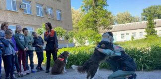Для павлоградських дітлахів провели заняття з каністерапії (ФОТО)