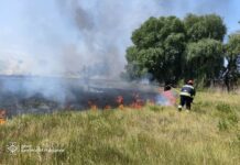 У Павлограді гасили масштабну пожежу