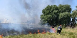 У Павлограді гасили масштабну пожежу