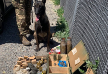 Службовий собака виявив заборонені предмети