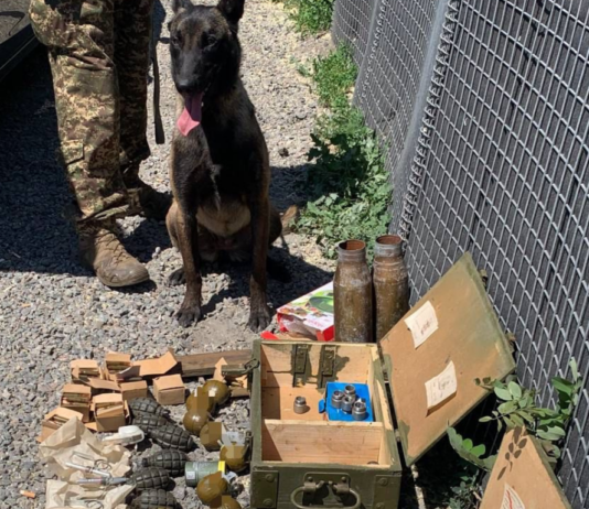 Службовий собака виявив заборонені предмети