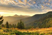 Павлоградські діти відправилися на оздоровлення до Закарпаття