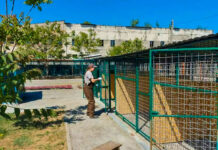 У Притулку для тварин відремонтували вольєри