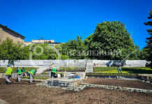 Тризуб, сонце, прапор: як прикрасять клумбу в центрі Павлограда (ВІДЕО)