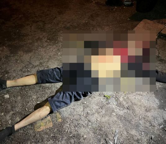 На Павлоградщині жінка вбила чоловіка