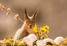 Якою буде погода на цьому тижні?