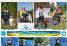 Кінологи з Павлограда беруть участь у Чемпіонаті світу серед собак-рятувальників