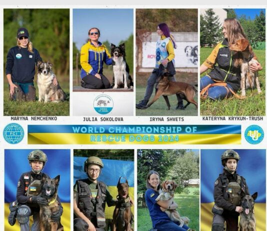 Кінологи з Павлограда беруть участь у Чемпіонаті світу серед собак-рятувальників