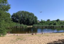 Стало відомо, чи можна купатися на пляжі у Павлограді