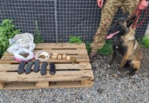 На Дніпропетровщині зупинили автівку з боєприпасами