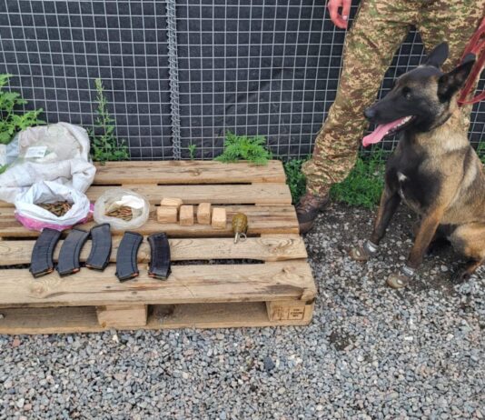 На Дніпропетровщині зупинили автівку з боєприпасами
