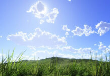 «Згідно сезону»: якою буде погода на цьому тижні?