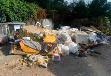 Павлоградців попередили: за викидання негабаритних відходів є штраф