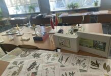 Один з ліцеїв Павлограда бере участь в інноваційному освітньому проєкті