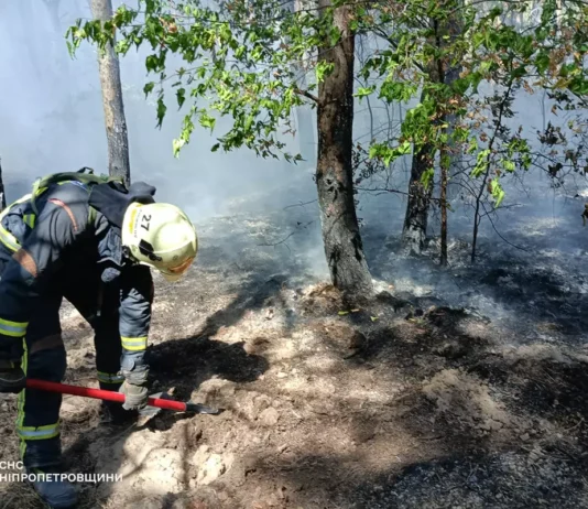 У Павлограді гасили лісову пожежу