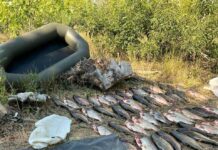 На Вовчій спіймали браконьєрів