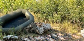 На Вовчій спіймали браконьєрів