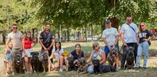 У Павлограді пройшло DOG-шоу