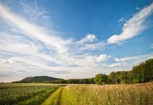 Якою буде погода на цьому тижні в Павлограді і чи повернеться спека?