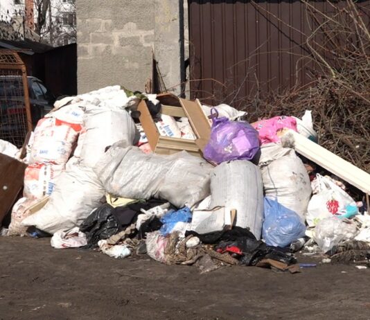 У Павлограді ведуть боротьбу зі стихійними сміттєзвалищами