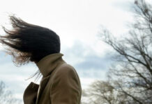 У Павлограді сильний вітер наробив лиха